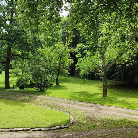 Ferienwohnung Goslar Mit Parkblick Am Harz Екстер'єр фото